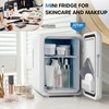 ECOWELL WRE100 Mini Fridge for Bedroom, 4L/6 Can Skincare Fridge,