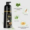 Hair Dye Shampoo Canas Tinte Black