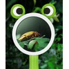 Handheld Magnifying Magnifier for Kids, 2 Magnifying Lenses, 5x 10x,