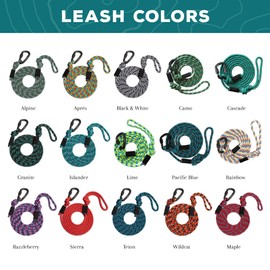 Wilderdog Carabiner Climbing Rope Dog Leash for Medium & Large Dogs - 10ft - Granite