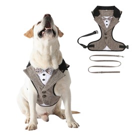 Smokinggeschirr mit Leine, verstellbar, formelle Weste, Geschirr, Frack für Welpen, kleine Hunde, Braun gestreift, Größe XS