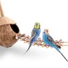 andwe Coconut Bird Nest Hut with Ladder for Parrots Parakeet