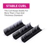 Individual Classic 1:1 Eyelash Extension 0.18 mm DD Curl Mix