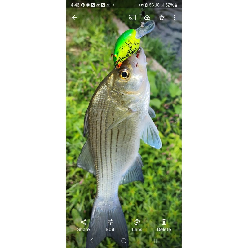 Strike Maxx Real Target Crawfish Crankbait - Red