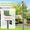 Bird Feeder Pole, 80 Inch Bird House Pole Stand for