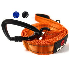 Heavy-Duty Dog Leash with Locking Carabiner – Reflective Nylon Lead with Padded Handle or Dual Traffic Handles – Perfect for Walking, Training, and Hiking Large, Medium, and Small Dogs (Orange, 4')