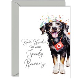 Get Well Soon Cards for Men - Cute Dog - Get Well Cards for Women, Best Wishes Speedy Recovery Card, 5x7 Inch Greeting Cards for Brother Sister Mum Dad Auntie Uncle Colleague Best Friend
