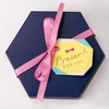 Iroha Publishing SURPRISE BOX ALBUM SAM-03 STRIPE