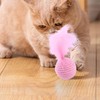 Cat Toy Ball with Feather | Kitten Training Toy -