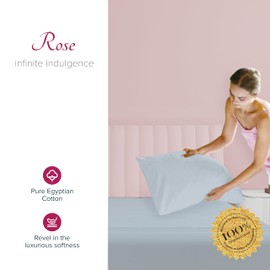 Carressa Linen 1200 TC Light Blue Queen Pillowcase Set of 2, Extra Long Staple 100% Egyptian Cotton Pillow Cover for Sleeping, Soft & Silky Premium Sateen Weave Pillowcase for Bed Pillows