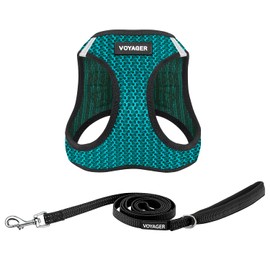 Voyager Step-in Air All Weather Mesh Harness and Reflective Dog 5 ft Leash Combo with Neoprene Handle, for Small, Medium and Large Breed Puppies by Best Pet Supplies - Turquoise (2-Tone),S