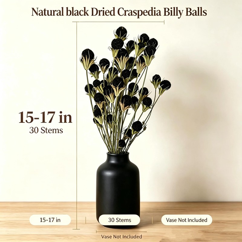 30Pcs Natural Black Dried Craspedia Billy Balls, Boho Dried Thistle