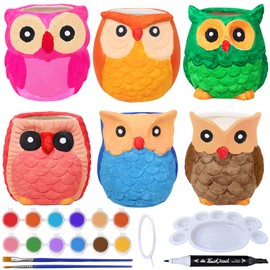 Winlyn 6 Sets DIY Ceramic Owl Succulent Pots Paint Craft Kit, Unpainted Ceramic Bisque Owl Flowerpots with Drainage Hole, Ready to Paint for Kids Classroom Craft Project Activity