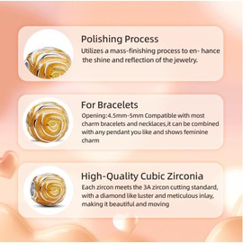 TCZNAF Family Friendship Love Charm Pendant Bead Pendant for European Bracelets Jewellery Gift 925 Sterling Silver Charm for Women, Cubic Zirconia