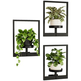 Bamworld Wall Planters for Indoor Plants Hanging Planter for Indoor Plants Plant Stand Indoor Wall Decor Hanger Window Plant Shelves 3 Pack for Living Room Outdoor Entryway
