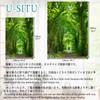 U-SITU Tapestry Wall Hanging Wall Decor Forest Nature Scenery Stylish