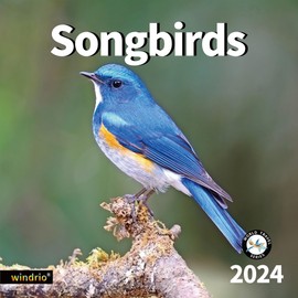 2024 Wall Calendar,Calendar 2024, November 2023 - December 2024, Wall Calendar Song Birds, 12" x 24" Opened,Full Page Months Thick & Sturdy Paper for Gift Perfect Calendar Organizing & Planning