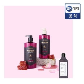 (Kerasis) Kerasis Propolis Shampoo/Treatment (Choose 1: Red or Green) / (케라시스)케라시스 프로폴리스 샴푸트리트먼트 (레드그린 中 택1)