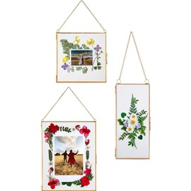 Double Glass Frame for Pressed Flowers, Leaf and Artwork - Set of 3 Hanging Picture Frames, 6x6, 6x8, 4x9 Floating Pressed Flower Frames, Square and Rectangular Wall Decor Photo Display, Clear Metal Glass Frames with Chain (Gold)