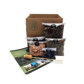 DIY Medium Open and Closed Terrarium Kit (Terracotta Pebbles)