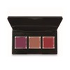 Beauty World Polyjerica Nail Up Palette Venetian Red Gel Nail
