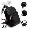 Bolso Bandolera Para Mujer Impermeable Vini Piel Color Negro Diseño