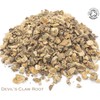 Organic Devil's Claw Root Pure Herbal Infusion (25 Unbleached Tea