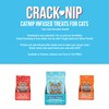 Snack Station: Crack-Nip 12 Pack - Chicken - 1.5 oz