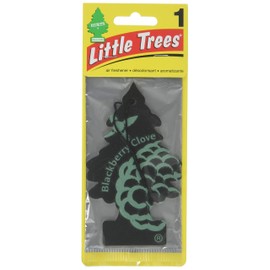 Car Freshner Little Trees BlackBerry Clove 24 Pack