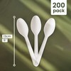 HAAGO 200 PLA Teaspoons Biodegradable Compostable Cutlery (White, 12.5cm) -