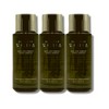 Dominas First Toning Essence 70ml 3pcs / 도미나스 퍼스트 토닝 에센스 70ml 3개