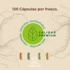 Ácido Alfa Lipoico L-carnitina Biotina 120 Cáps Raíces Zen