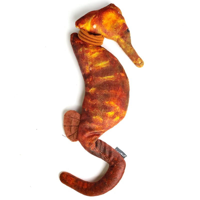 CattyMan Slutty Cat Kerikeri Toy Live Dragon Seahorse