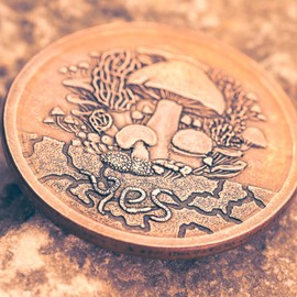 Fungible Token Decision Maker in Solid Copper