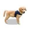 Copatchy No Pull Reflective Adjustable Dog Harness with Handle (XLarge Blue)