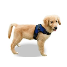 Copatchy No Pull Reflective Adjustable Dog Harness with Handle (XLarge Blue)