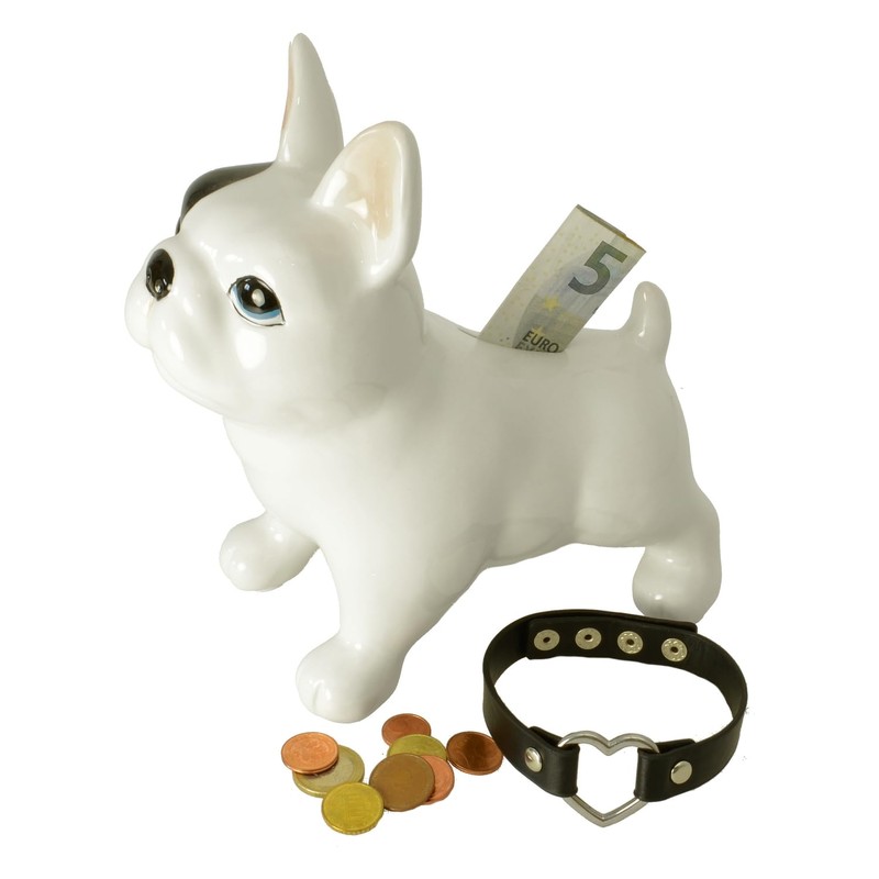 Bulldog Money Box