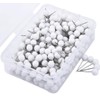 PINEPAN Push Pins White 1/8 Inch Round Head Nail Tacks