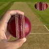 SPORTISH Premium Leather Cricket Test Ball - Red Hand Stitched