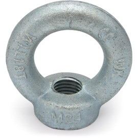 Riggatec Ring Nut DIN 582 M24 Galvanised