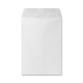 Catalog Envelope, Plain, 24lb, 6-1/2 x 9-1/2 Inches, 500/Box, White