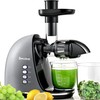 Slow Masticating Juicer,Brecious Cold Press Juicers with 2 Speed Modes