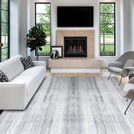 Shuonuo Area Rug 2FTX31FT Modern Graphite Rug Collection Craft with Non-Shedding Floor Carpet Washable for Living Room Bedroom Dining Home Office Grey