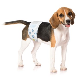 ValueWrap Male Wraps, Disposable Dog Diapers, 1-Tab Medium, 288 Count Bulk Pack - Snag-Free Fastener, Leak Protection, Wetness Indicator