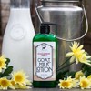 Bates Family Farm Goat Milk and Shea Butter Lotion 8