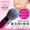 Kumano Brush Hakuundo Portable Series Powder/Cheek Brush, Hair Material: Koho