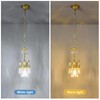 BNHHLZ Modern Crystal Chandelier, Gold Crystal Pendant Lighting Fixture, Elegant