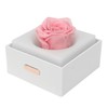 Rose Night Light Romantic Small USB Charging Soft Brightness Decoration