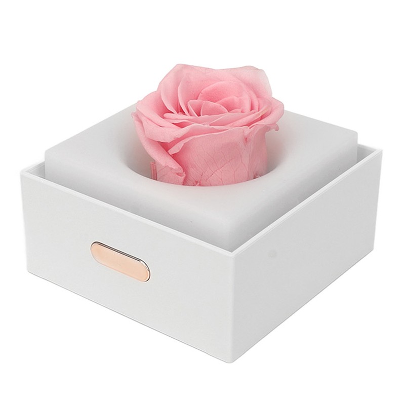 Rose Night Light Romantic Small USB Charging Soft Brightness Decoration
