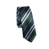 Fancyus Tie Costume Accessory (Slytherin-Green)